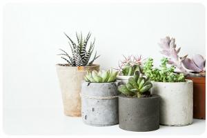 Decorative Pots